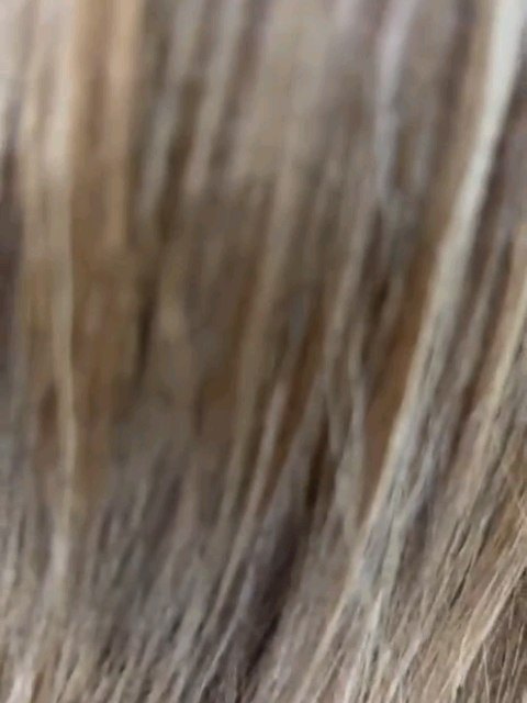 Detalle del color rubio con transición esfumada